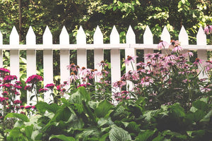 Wooden Backyard Garden Fence