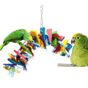 parrot chew toy